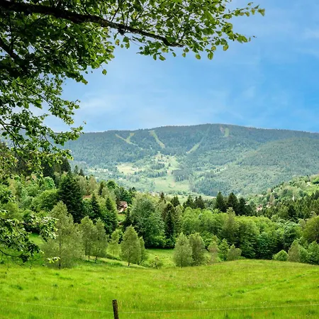 Chalet Le Pieraline - Ventron