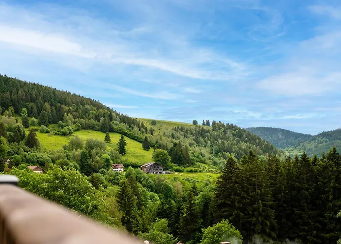 Le Pieraline - Chalet